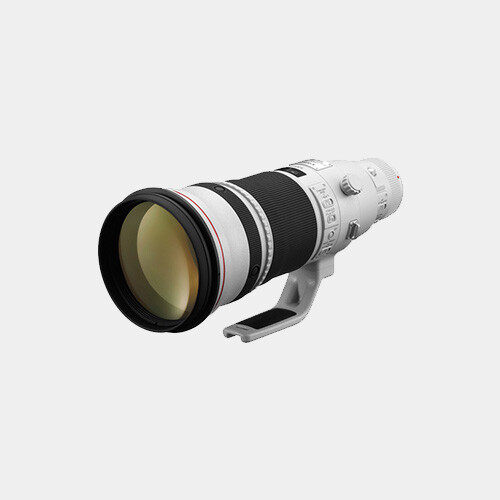 Canon EF 500mm f/4L IS II USM