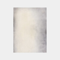 Canvas Backdrop (Warm Gray, 6 x 9')