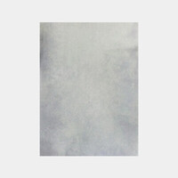 Canvas Backdrop (Light Olive, 6 x 9')